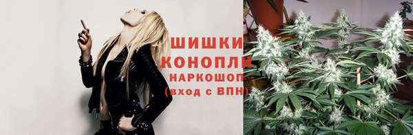 спиды Гусь-Хрустальный