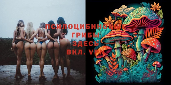 винт Гусиноозёрск