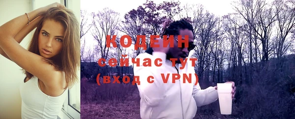 тгк Гусев