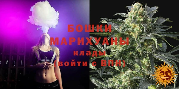 винт Гусиноозёрск