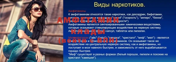 тгк Гусев