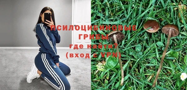спиды Гусь-Хрустальный