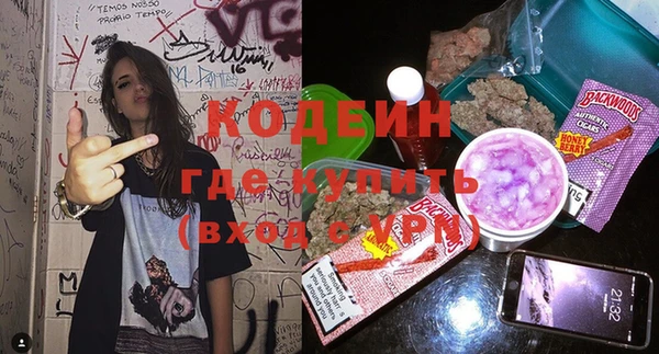 тгк Гусев