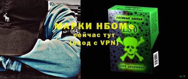 тгк Гусев